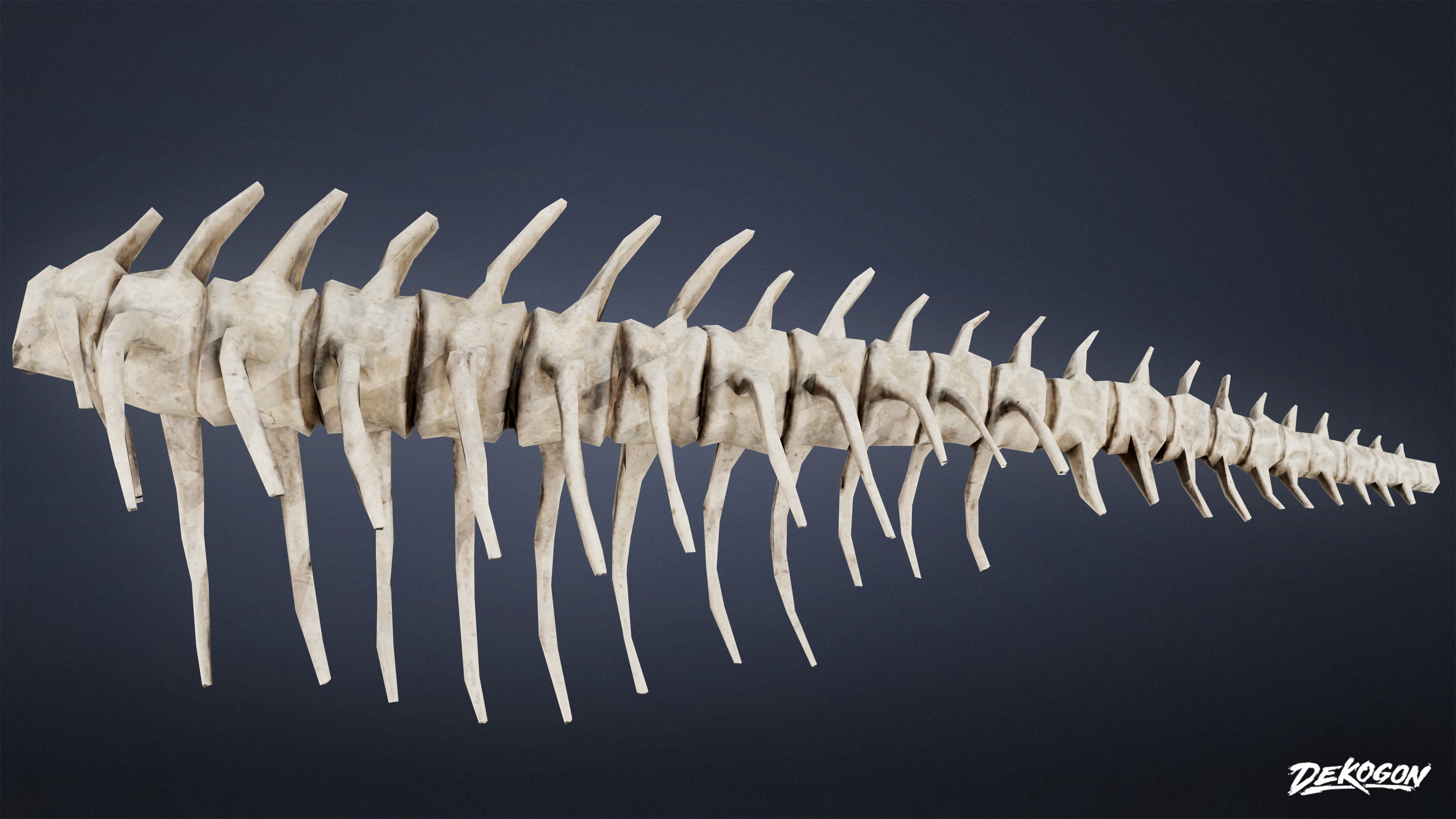 BONES - Bone Set 02 - LOW POLY Low-poly 3D model_5