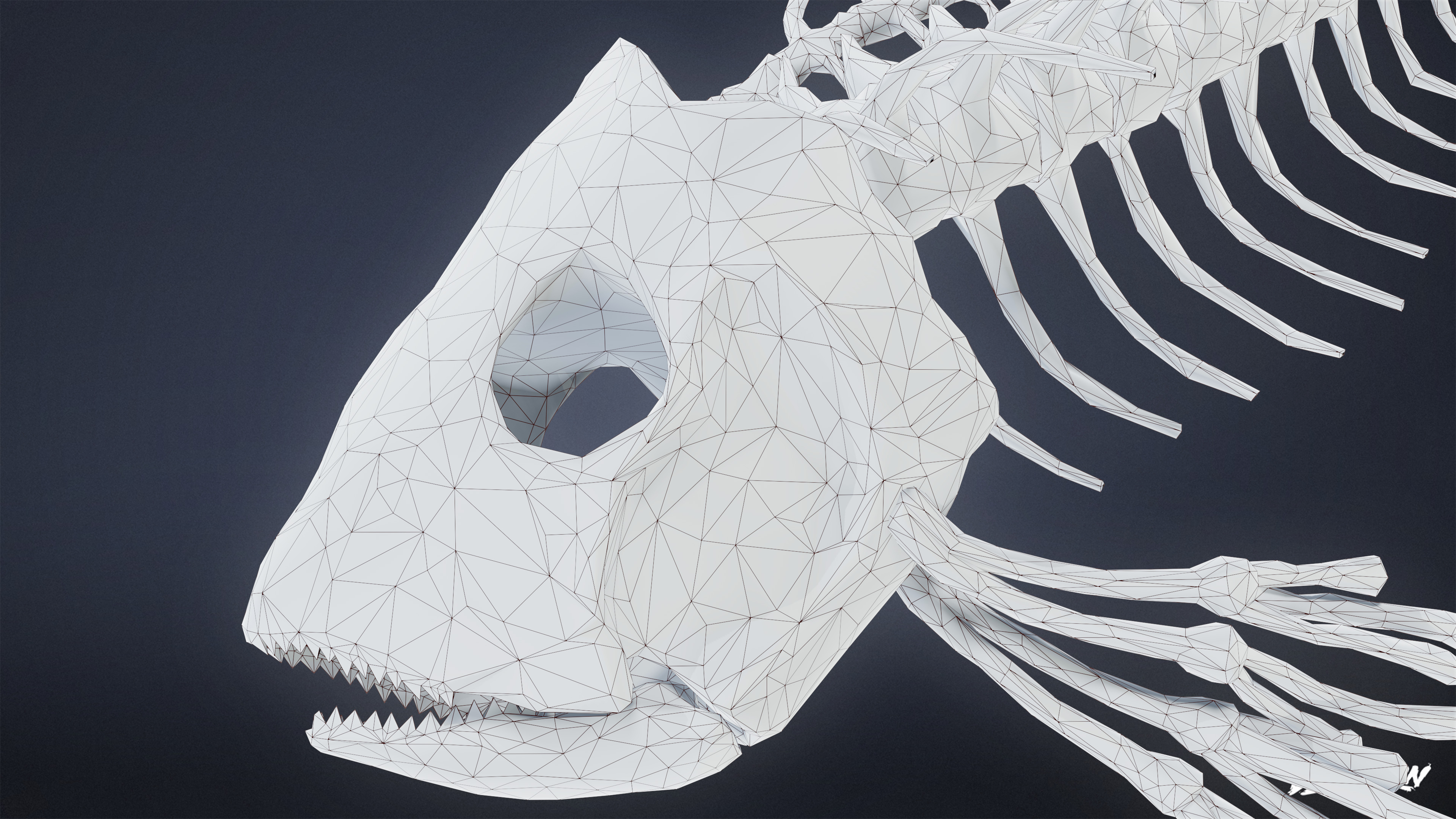 BONES - Bone Set 02 - LOW POLY Low-poly 3D model_10