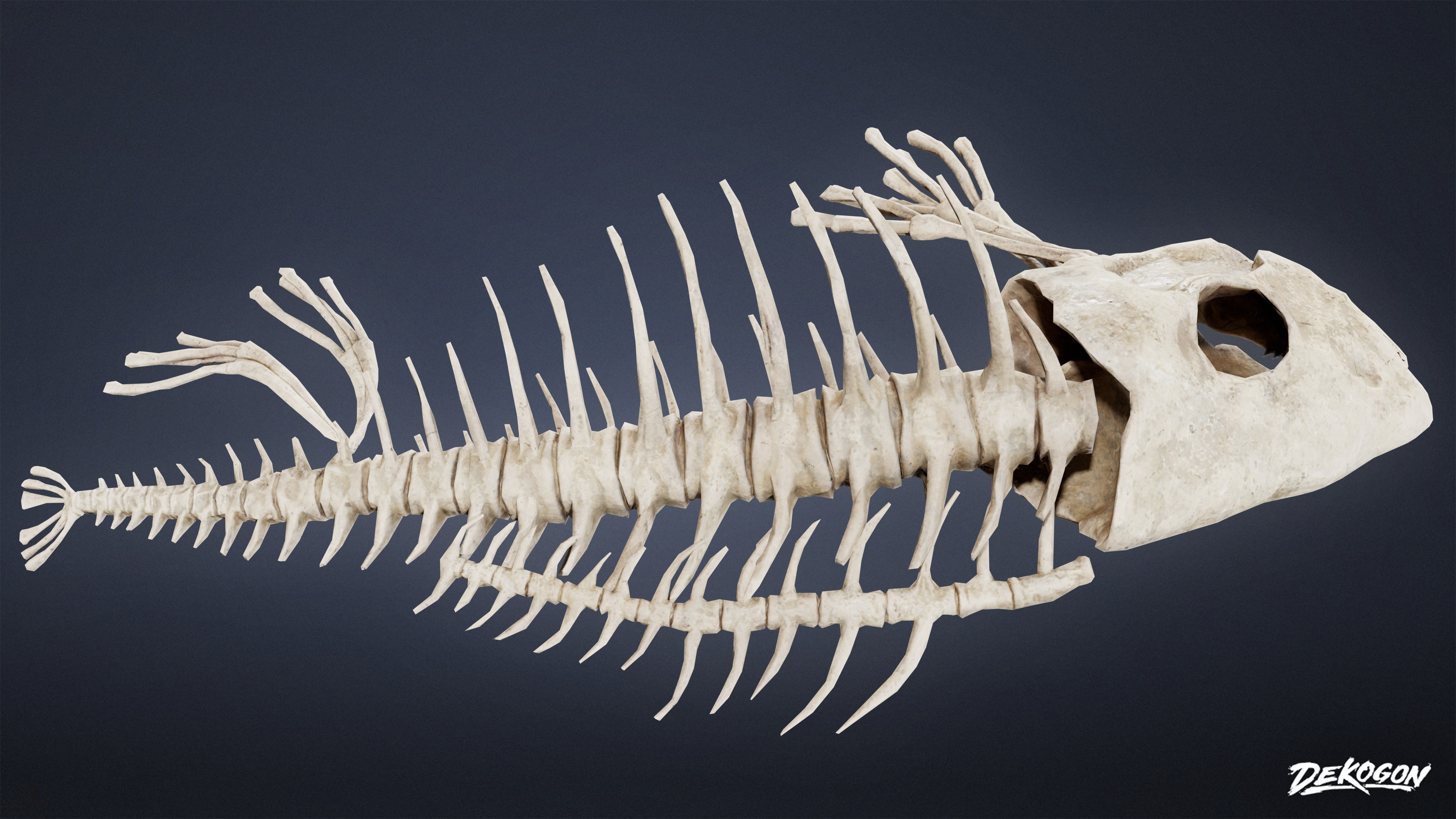 BONES - Bone Set 02 - LOW POLY Low-poly 3D model_7