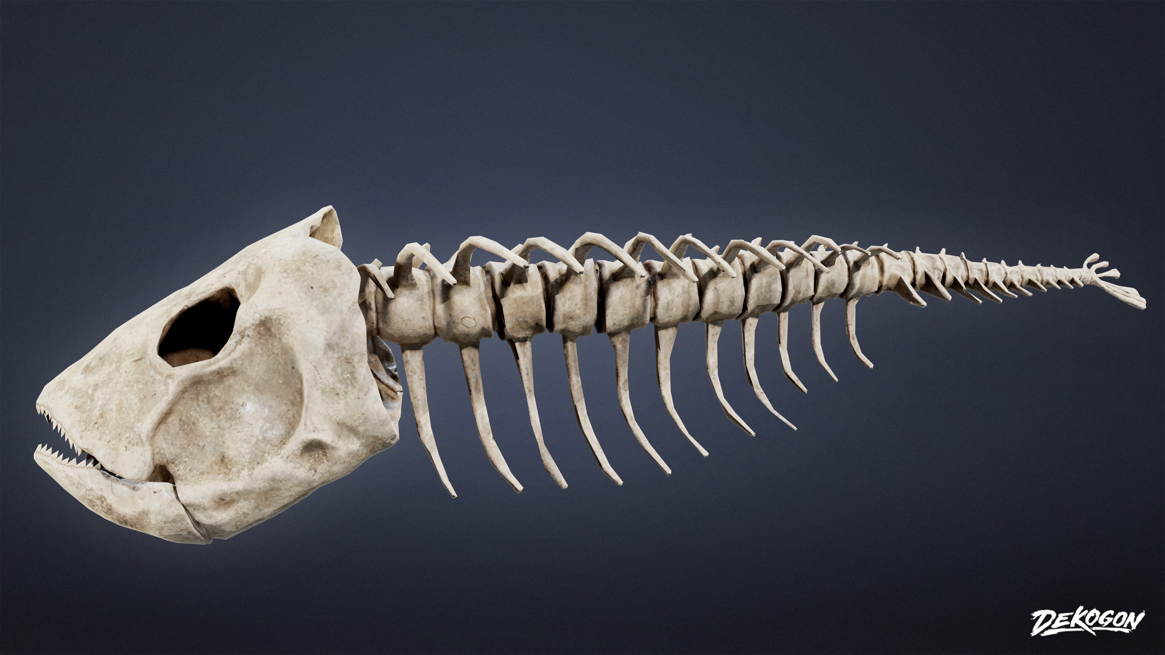 BONES - Bone Set 02 - LOW POLY Low-poly 3D model_1