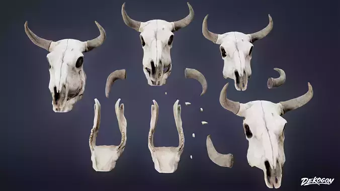 BONES - Bone Set 03 - LOW POLY