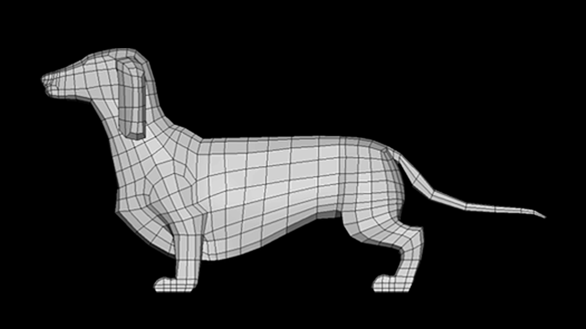 Dog Dachshund model low poly base mesh Low-poly 3D model_1