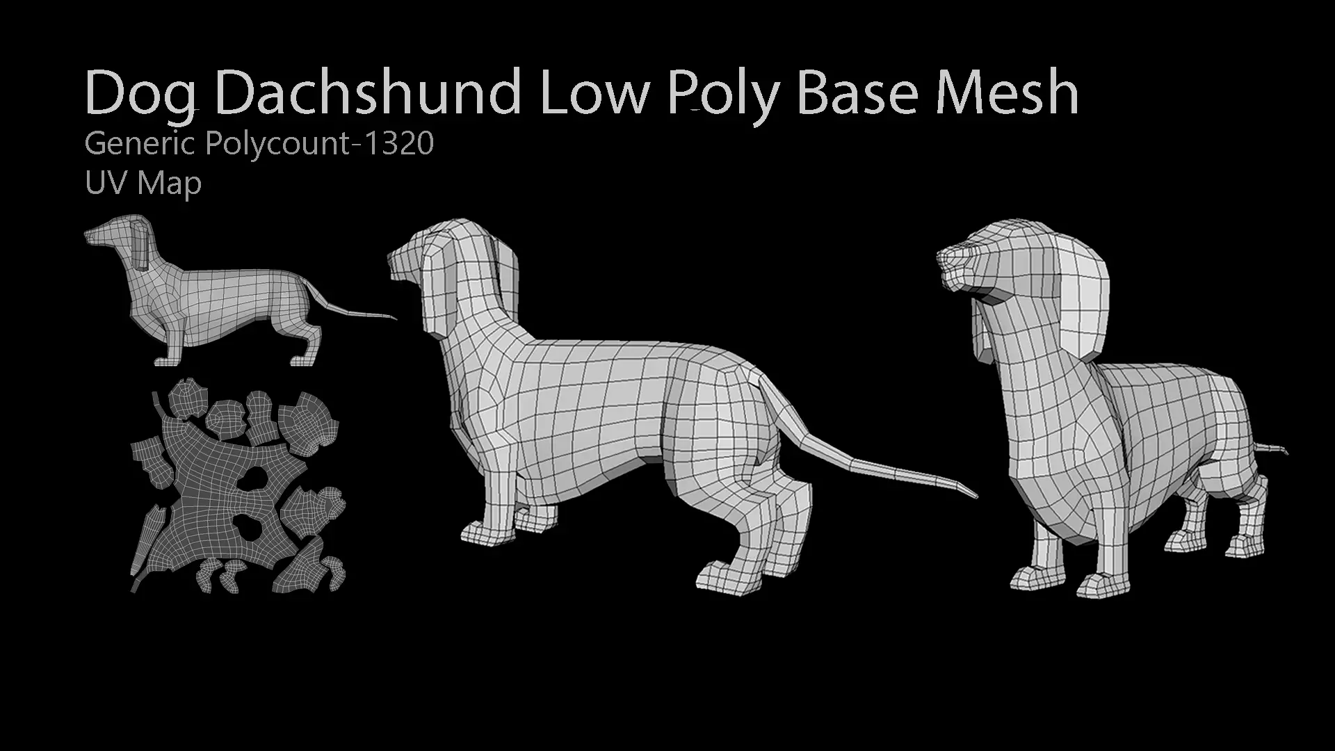 Dog Dachshund model low poly base mesh Low-poly 3D model_0