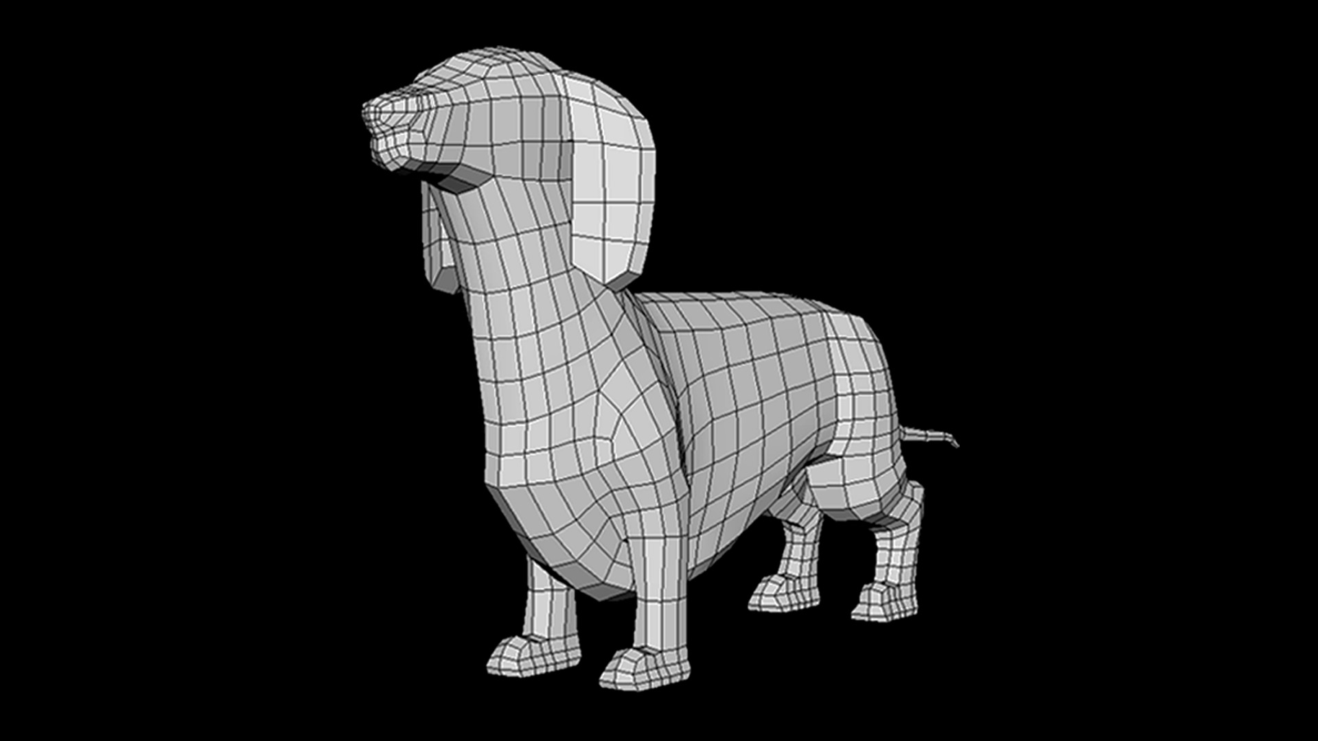 Dog Dachshund model low poly base mesh Low-poly 3D model_2