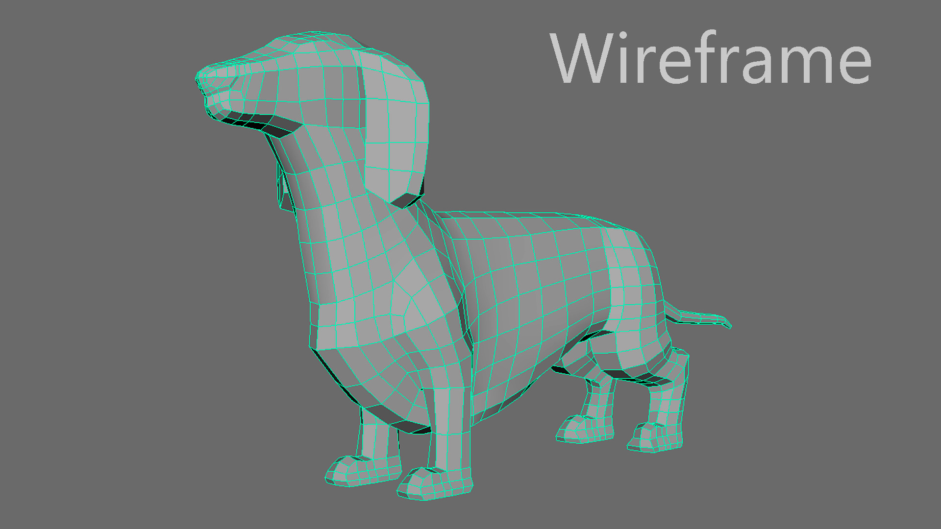 Dog Dachshund model low poly base mesh Low-poly 3D model_6