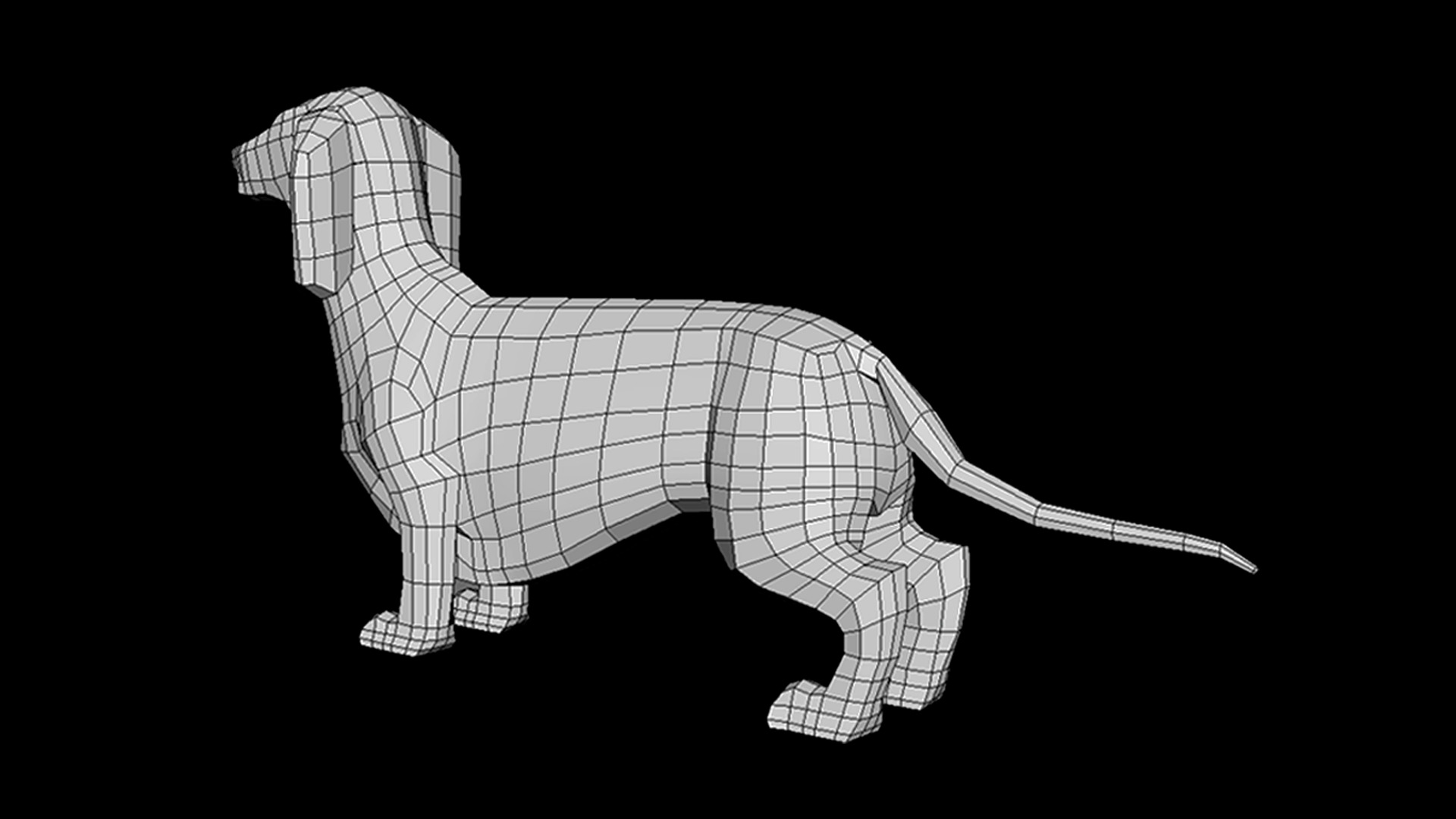 Dog Dachshund model low poly base mesh Low-poly 3D model_3