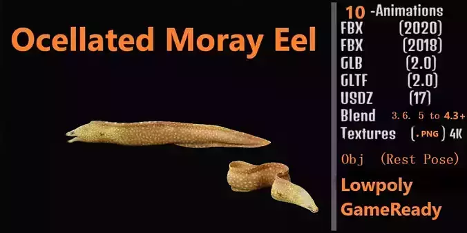 Ocellated Moray Eel Low-poly 3D model