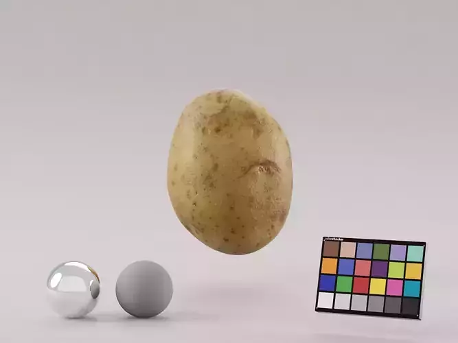 Potato