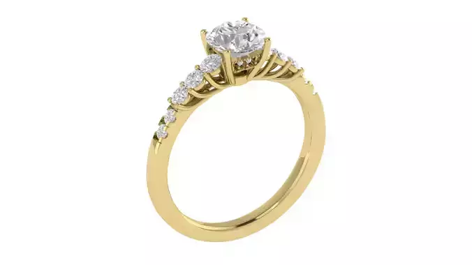 Women Ring  Render 3dm STL OBJ FBX TXT Details