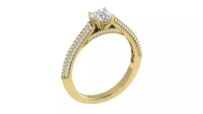 Women Ring  Render 3dm STL OBJ FBX TXT Details
