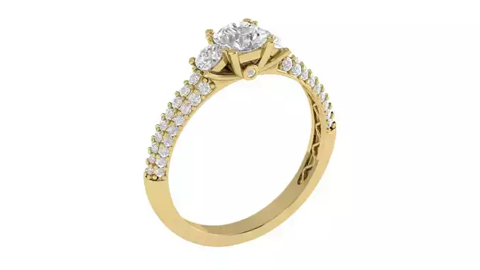 Women Ring  Render 3dm STL OBJ FBX TXT Details 3D print model