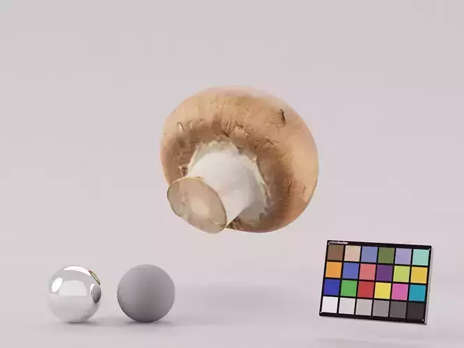 Brown Mushroom Low-poly 3D model