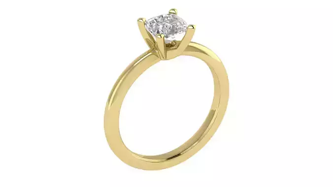 Women Ring  Render 3dm STL OBJ FBX TXT Details 3D print model