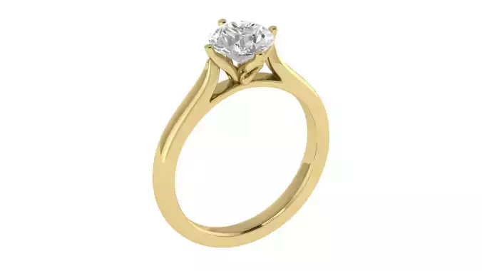 Women Ring  Render 3dm STL OBJ FBX TXT Details 3D print model