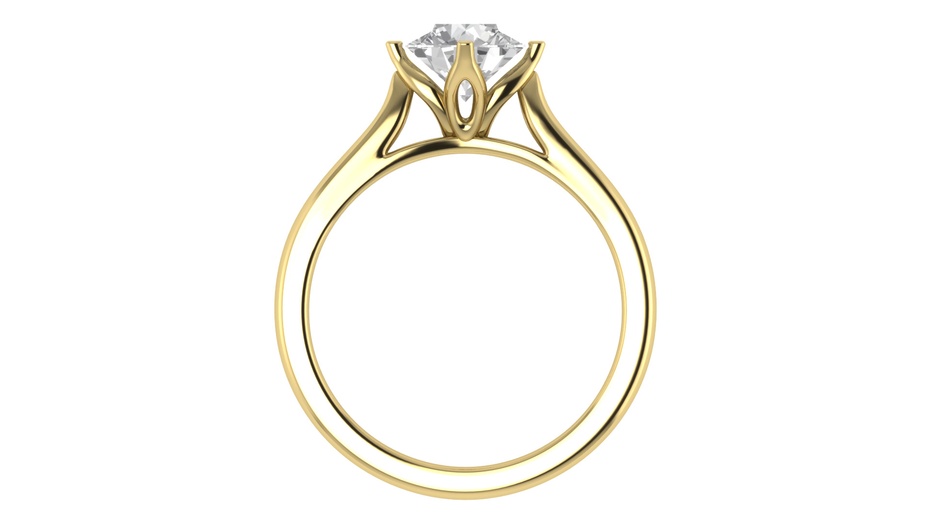 Women Ring  Render 3dm STL OBJ FBX TXT Details 3D print model_8