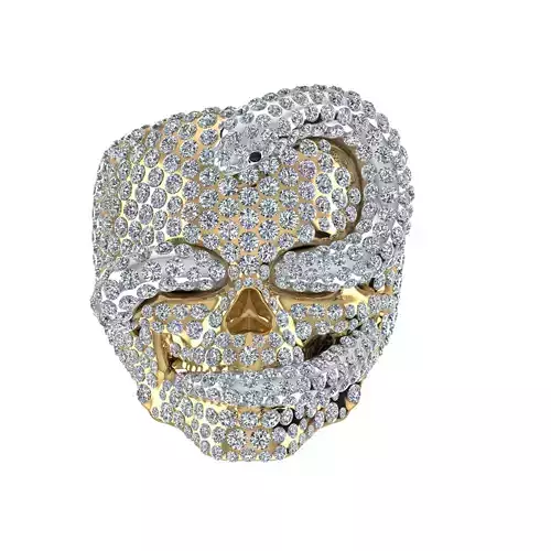 skull ring pendant 3D print model