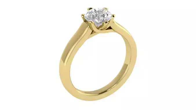Women Ring  Render 3dm STL OBJ FBX TXT Details 3D print model