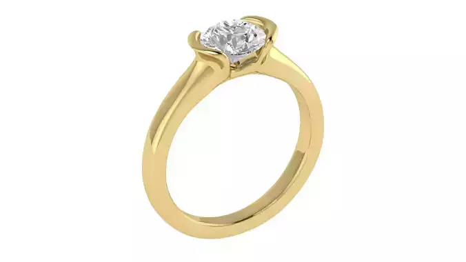 Women Ring  Render 3dm STL OBJ FBX TXT Details 3D print model