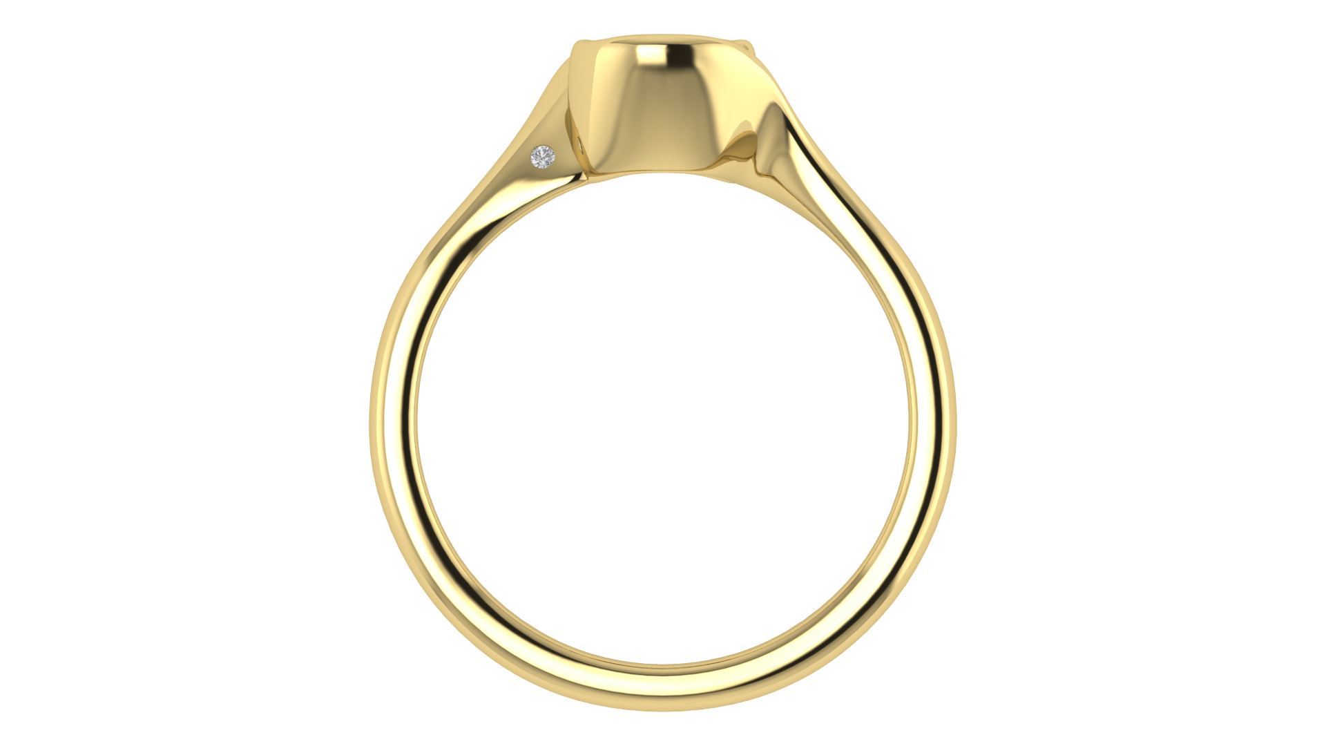 Women Ring  Render 3dm STL OBJ FBX TXT Details 3D print model_19