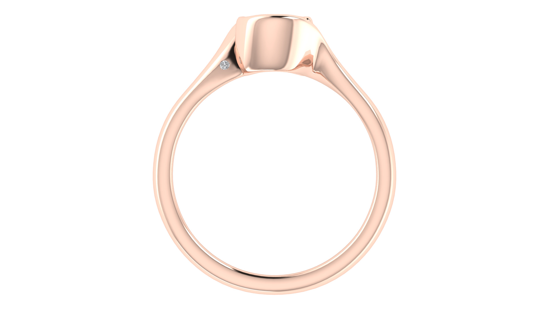 Women Ring  Render 3dm STL OBJ FBX TXT Details 3D print model_3