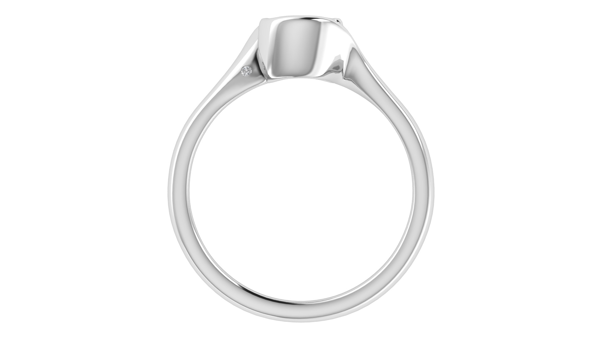 Women Ring  Render 3dm STL OBJ FBX TXT Details 3D print model_8