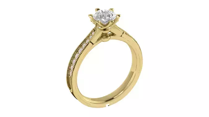 Women Ring  Render 3dm STL OBJ FBX TXT Details 3D print model