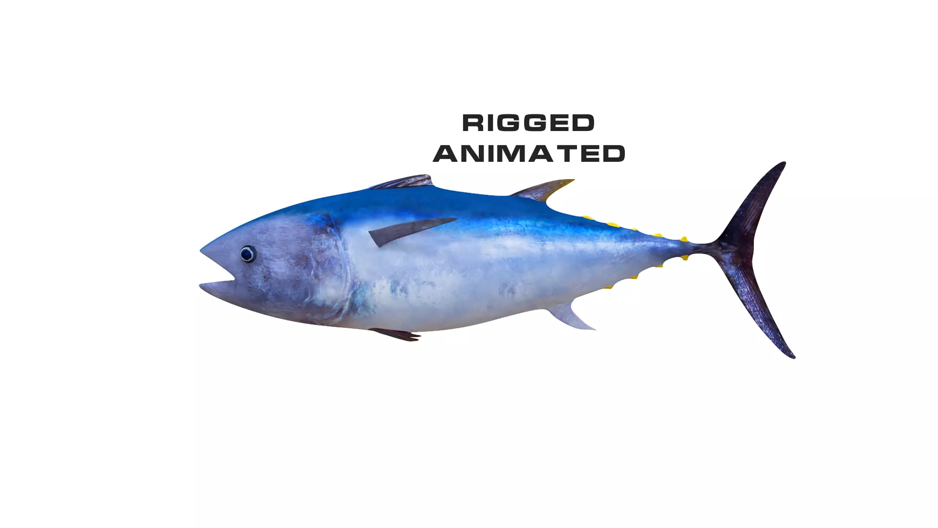 Low-Poly Tuna Animated Free low-poly 3D model
