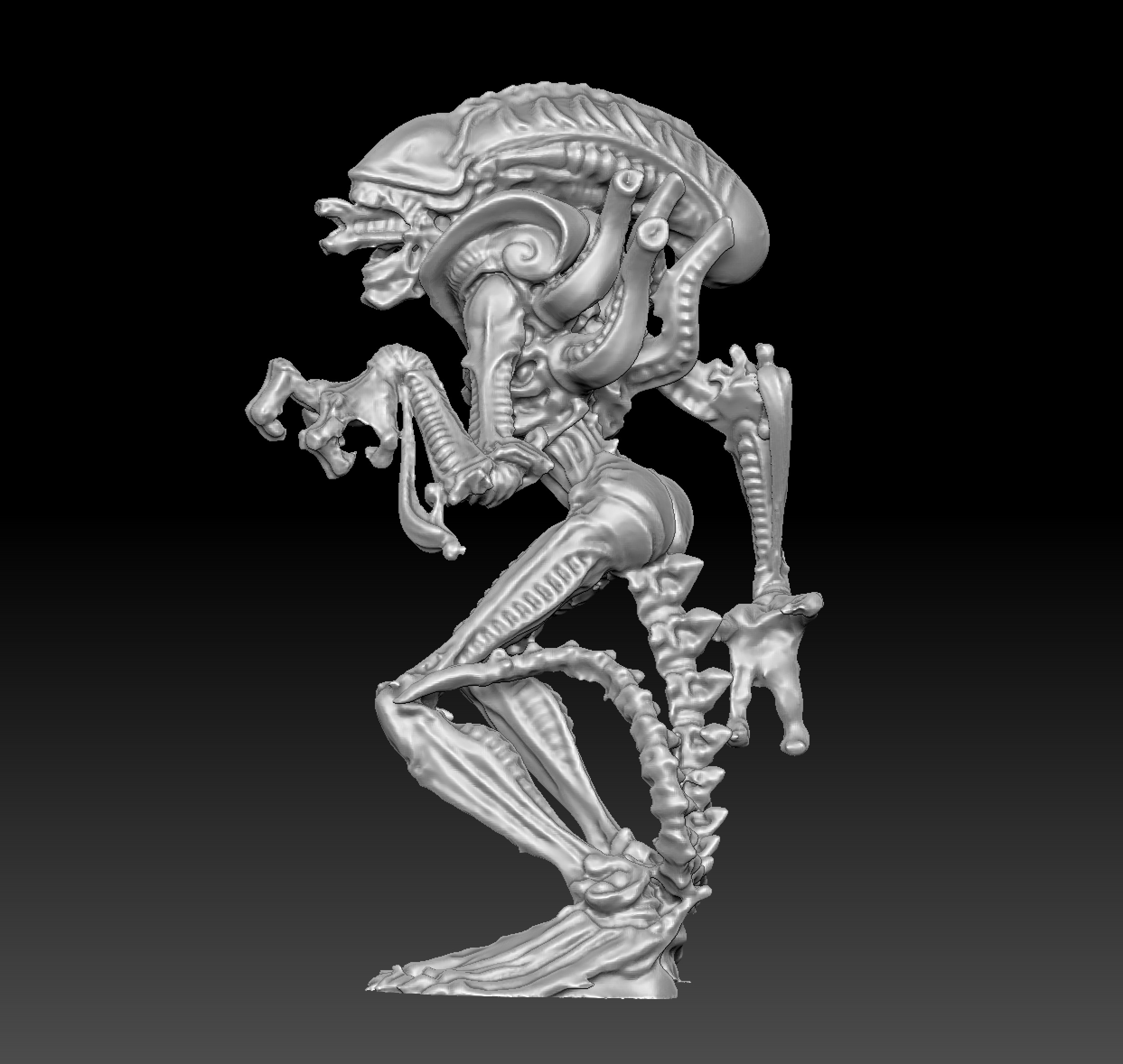 Xenomorphy Statue Scan 3D print model_3