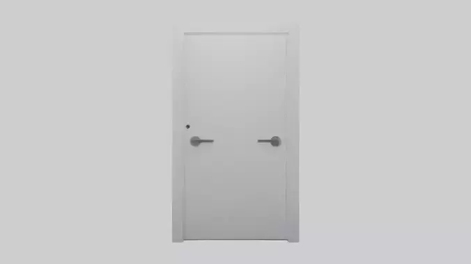 Minimalist door model