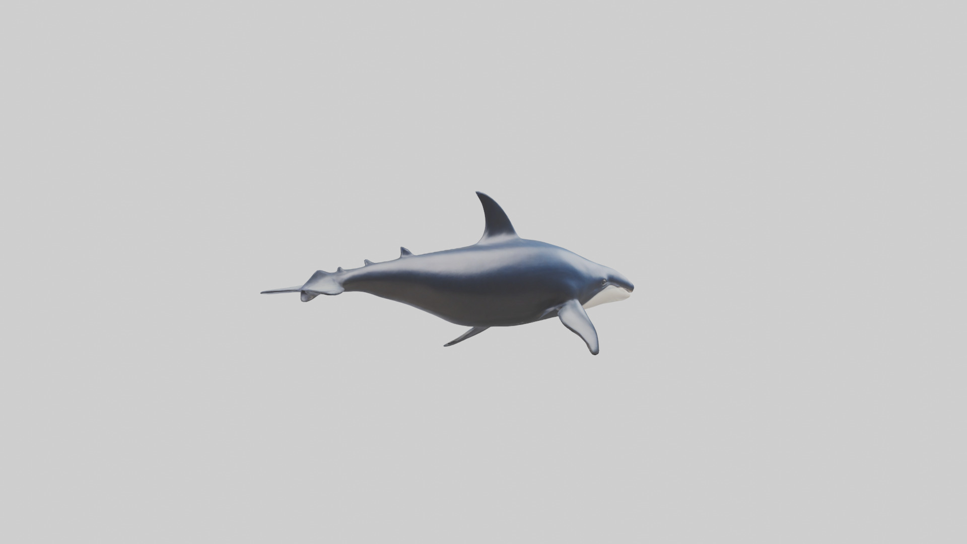 Minke Whale statue model 3D model_1