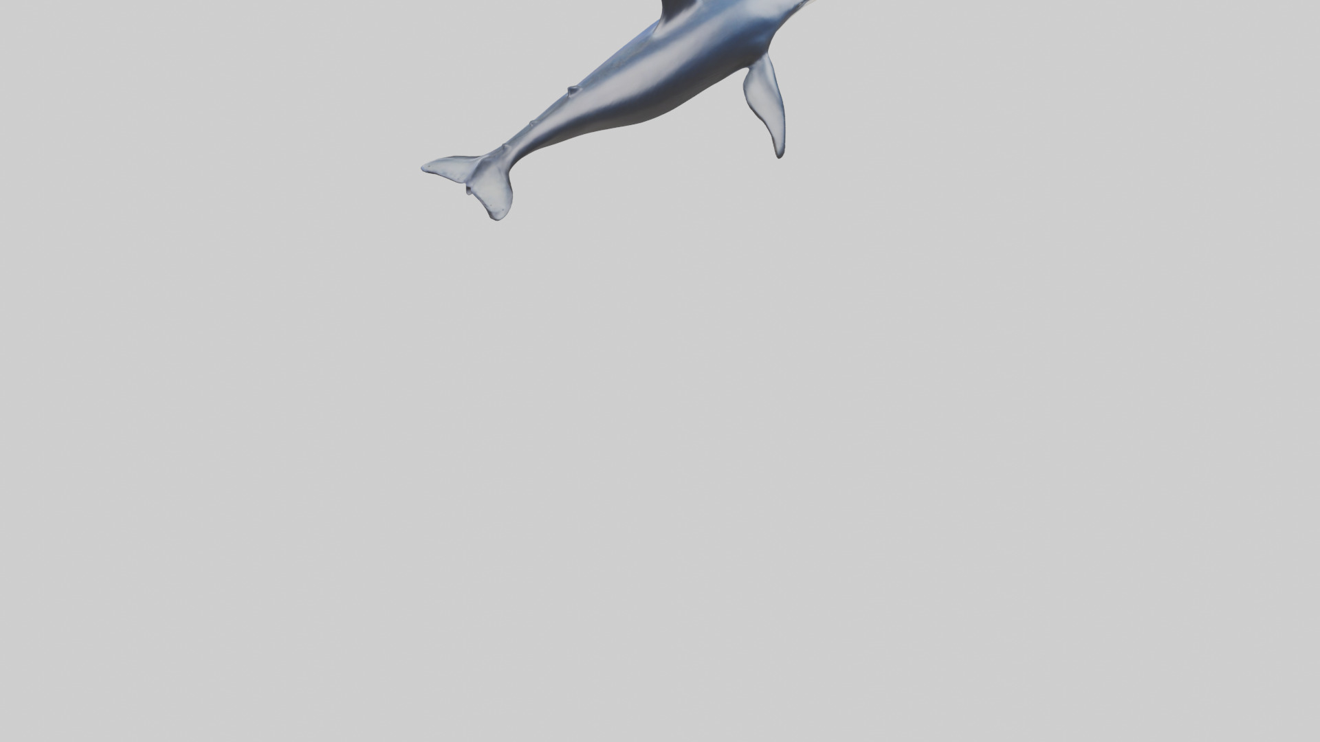 Minke Whale statue model 3D model_3