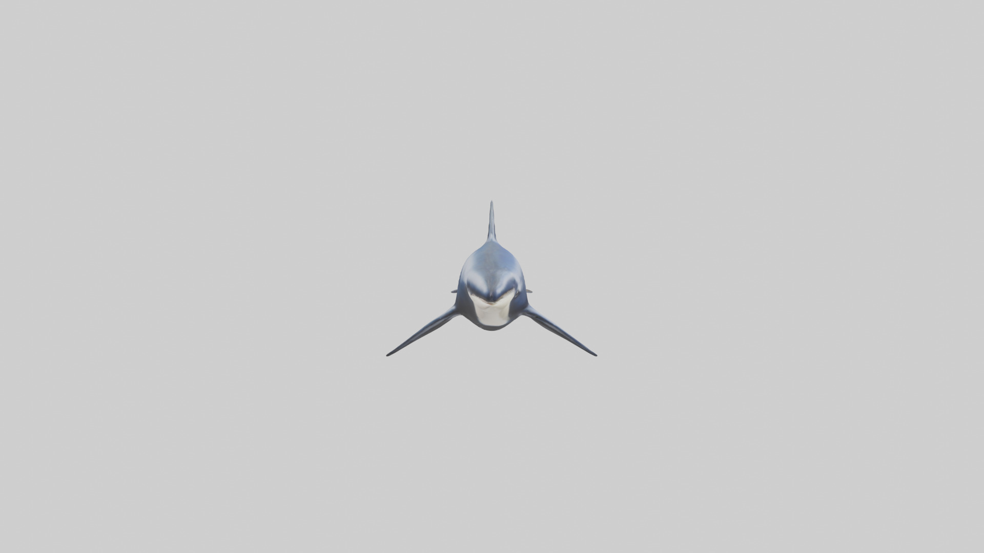 Minke Whale statue model 3D model_13