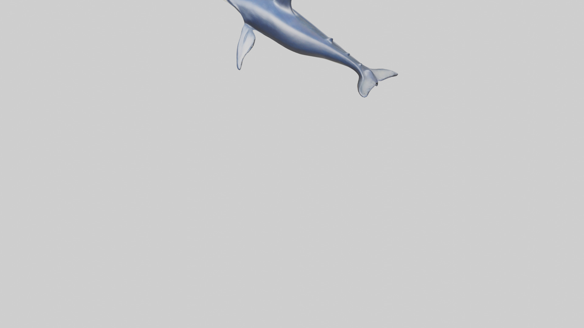 Minke Whale statue model 3D model_5