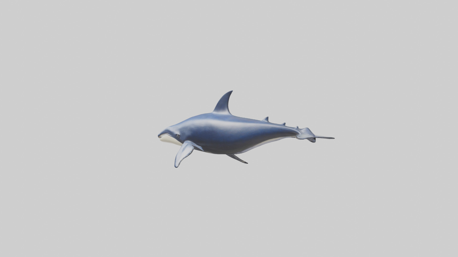 Minke Whale statue model 3D model_8