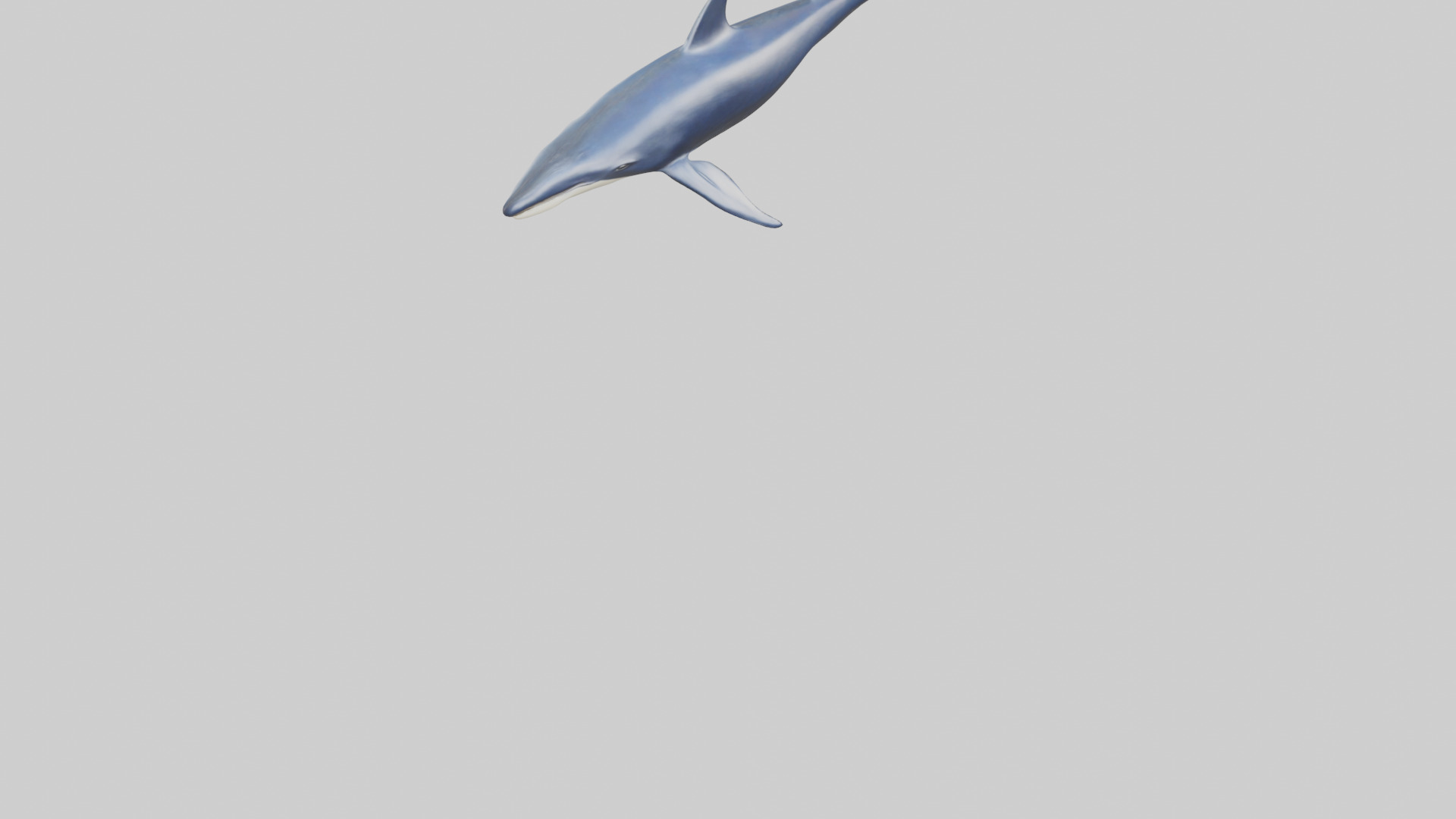 Minke Whale statue model 3D model_6