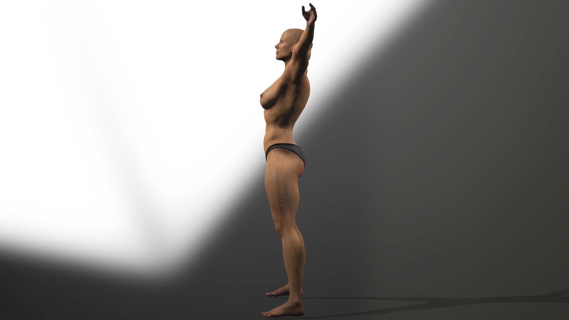 Female Anatomy Low-poly 3D model_11