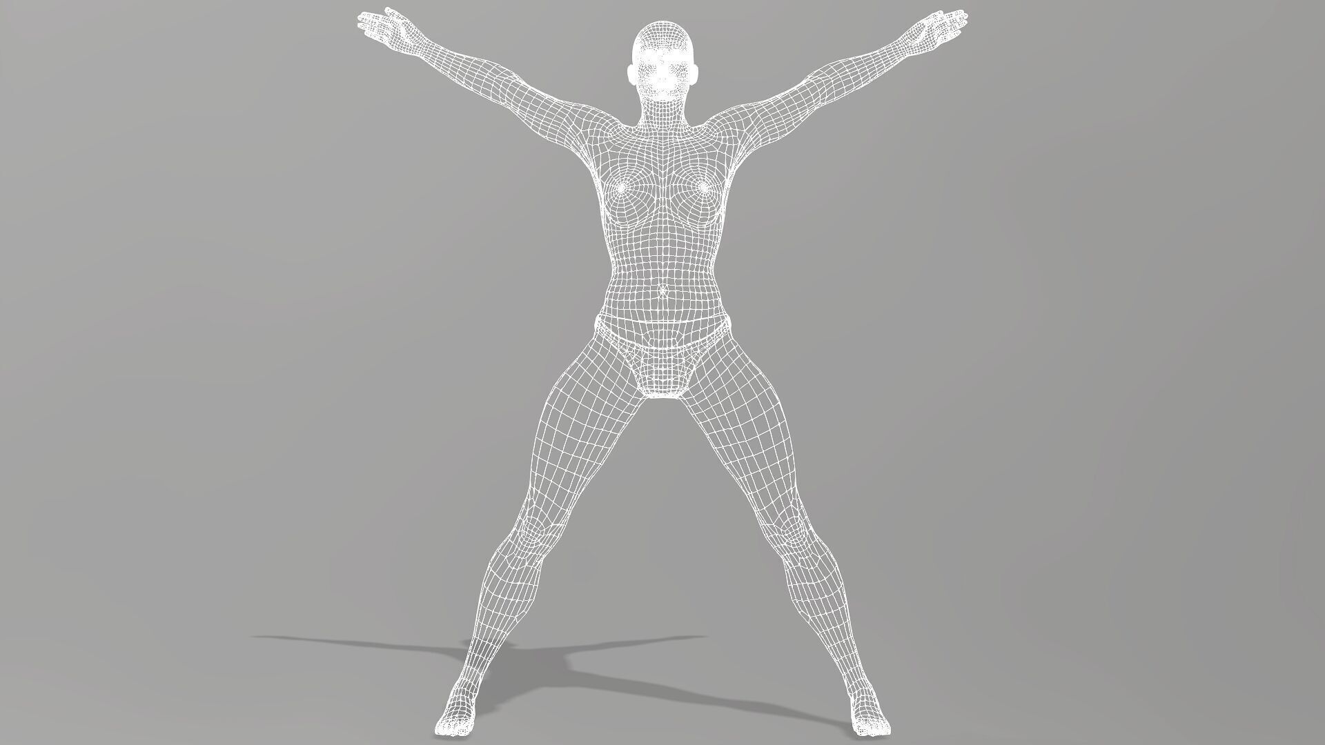 Female Anatomy Low-poly 3D model_14