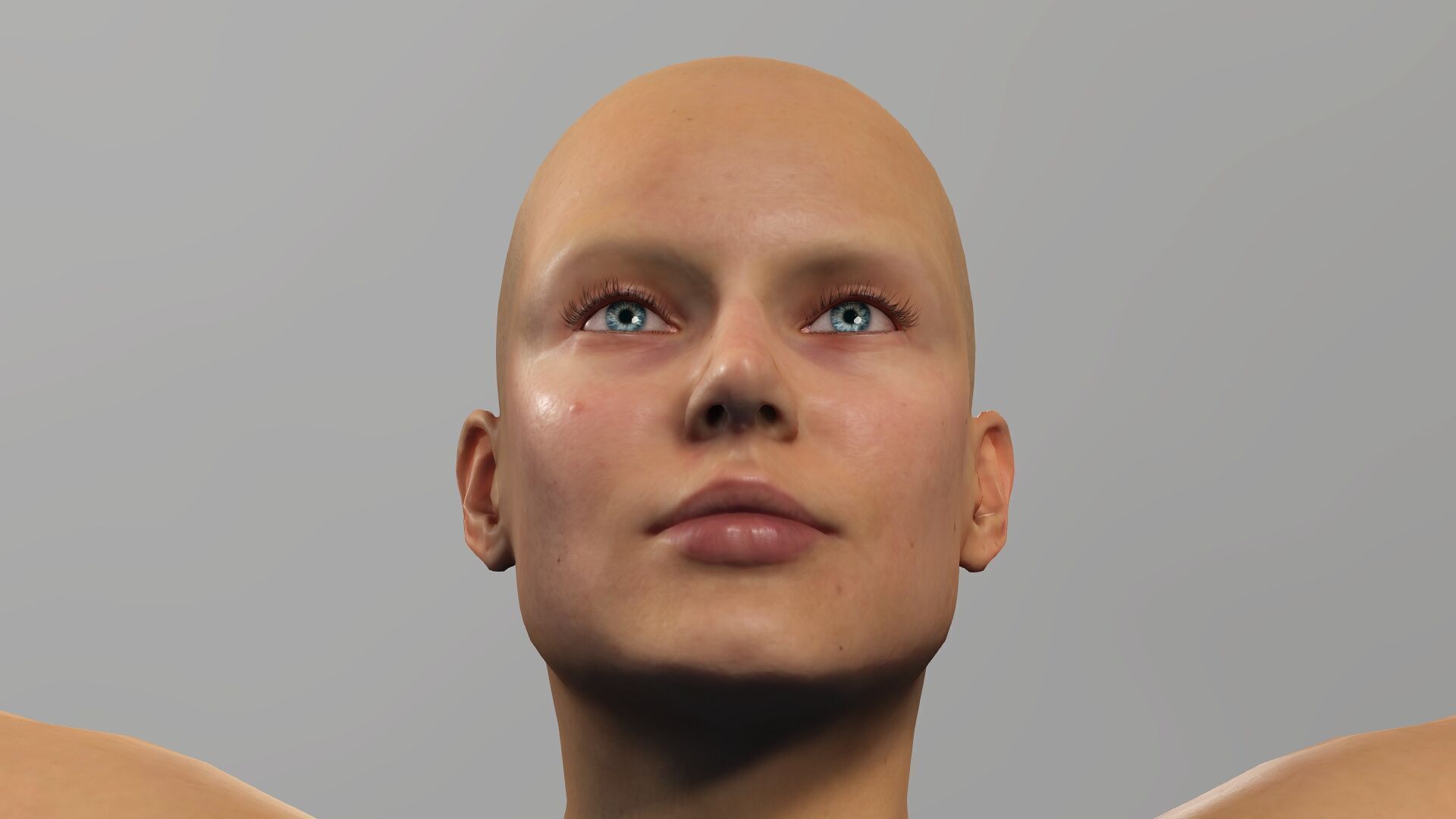 Female Anatomy Low-poly 3D model_2