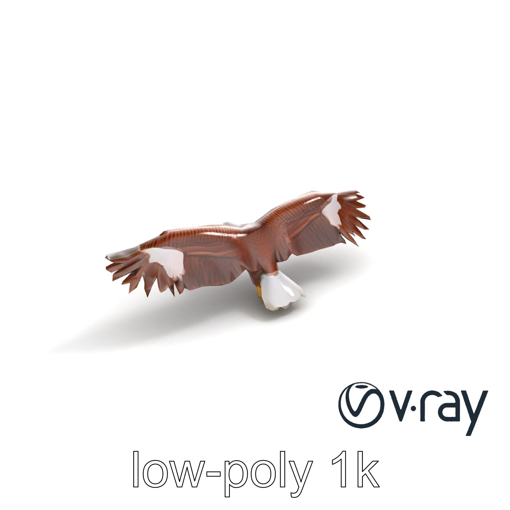 Majestic Bald Eagle 3D model pack Low-poly 3D model_10