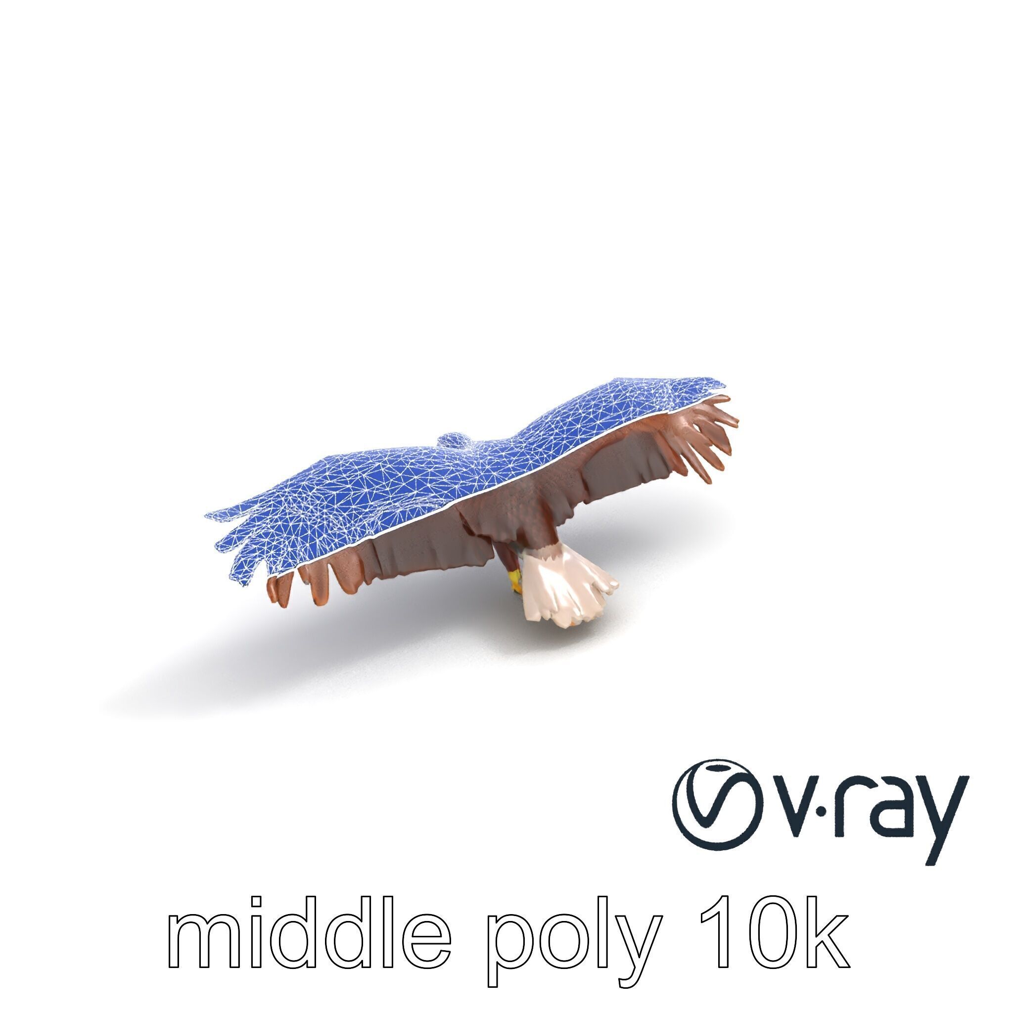 Majestic Bald Eagle 3D model pack Low-poly 3D model_31