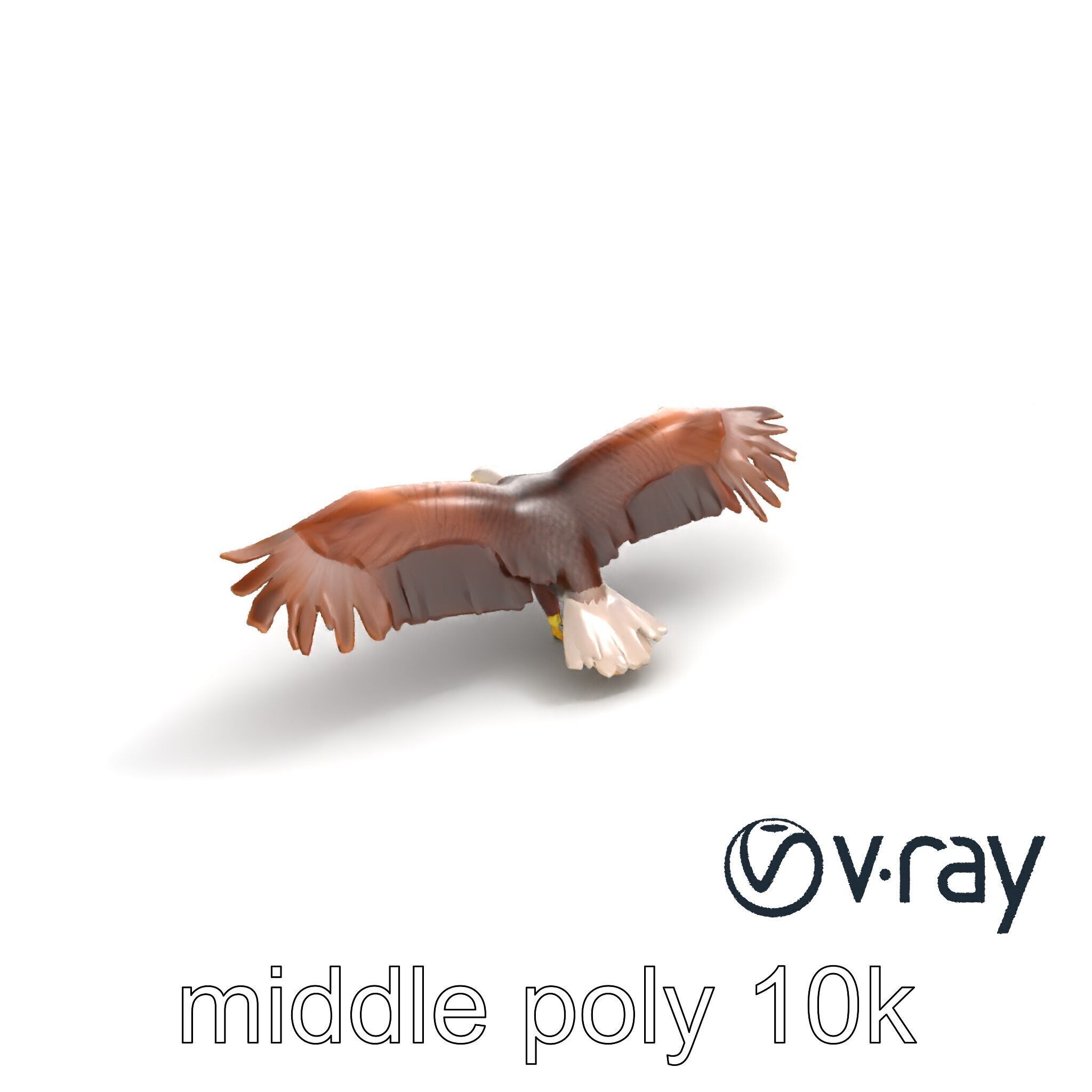 Majestic Bald Eagle 3D model pack Low-poly 3D model_6