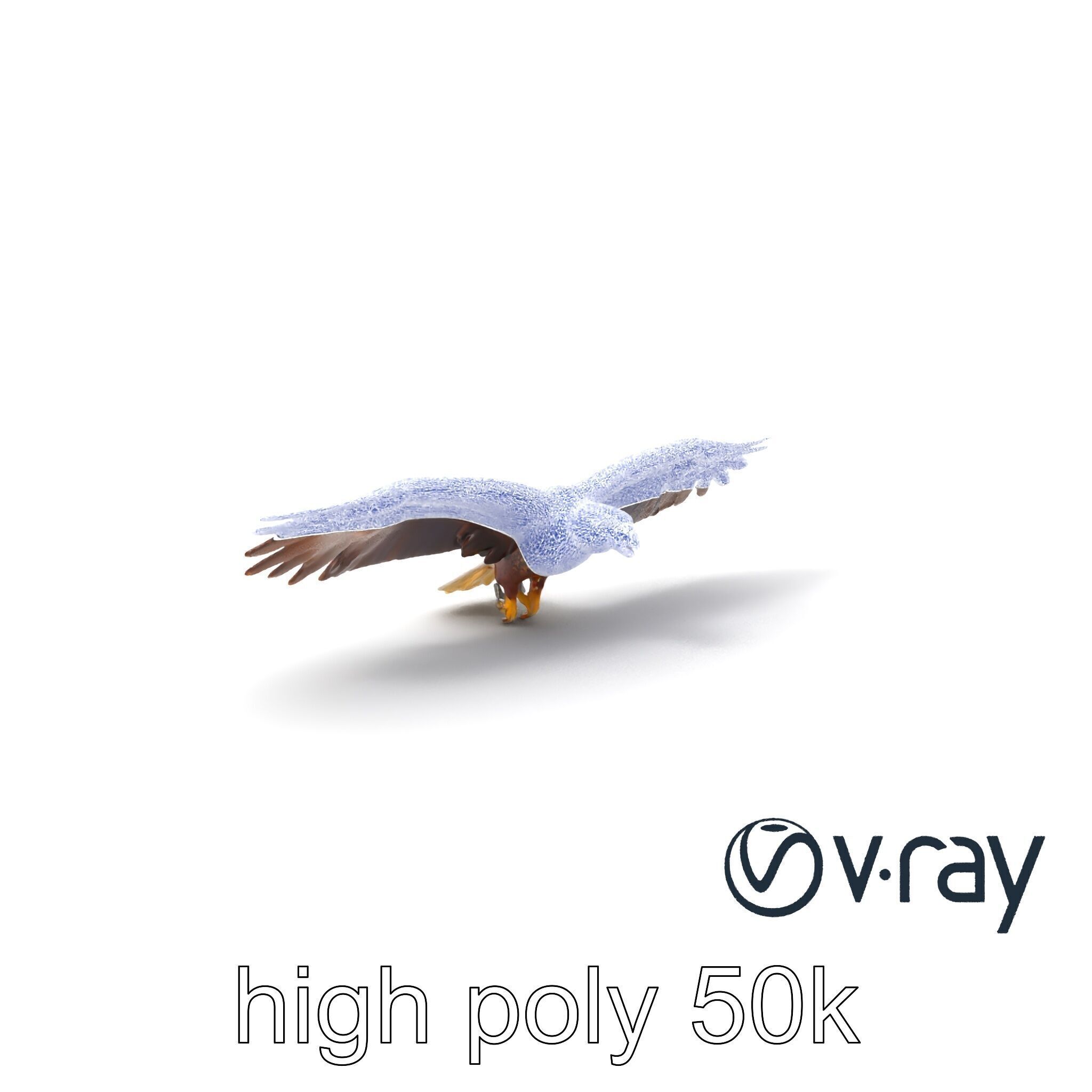Majestic Bald Eagle 3D model pack Low-poly 3D model_8