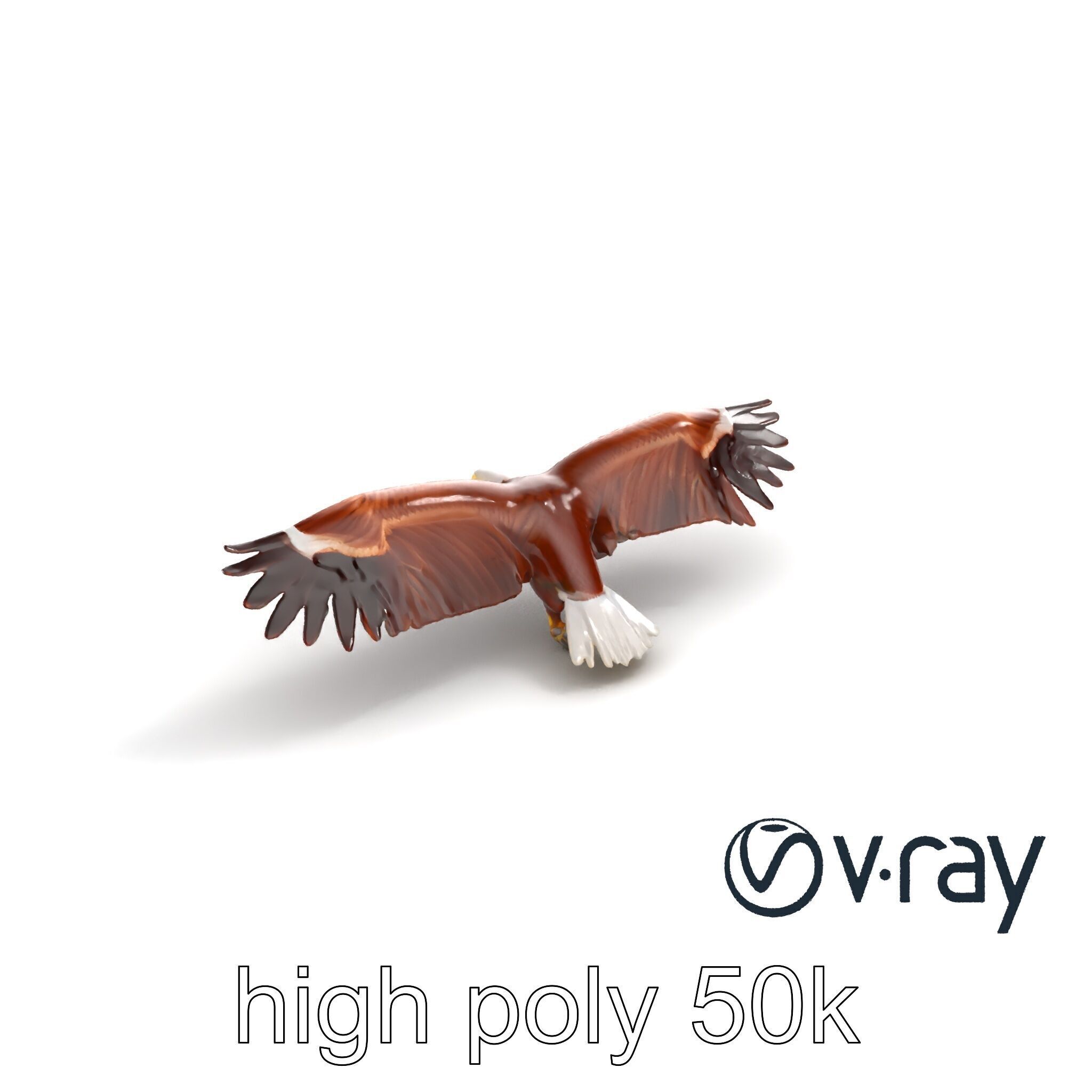 Majestic Bald Eagle 3D model pack Low-poly 3D model_20