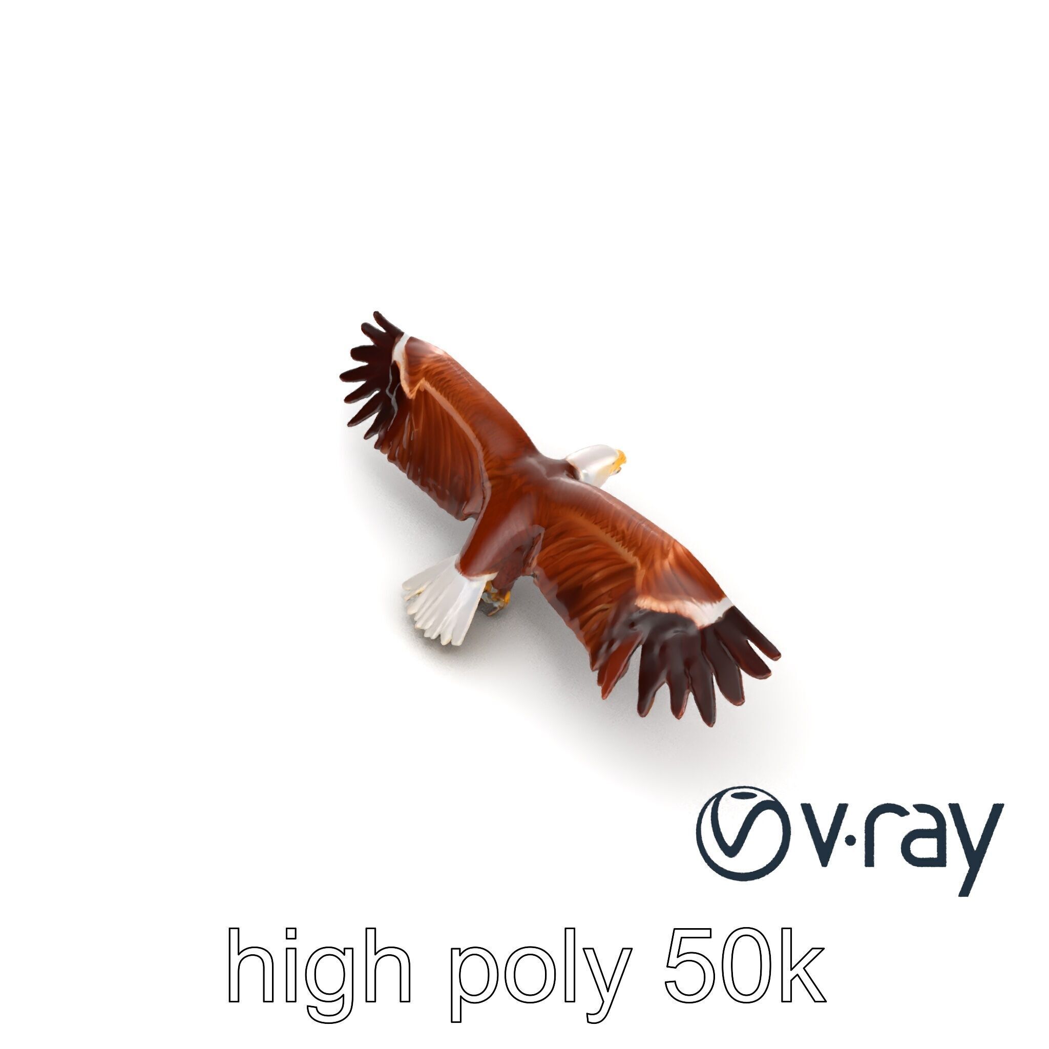 Majestic Bald Eagle 3D model pack Low-poly 3D model_15