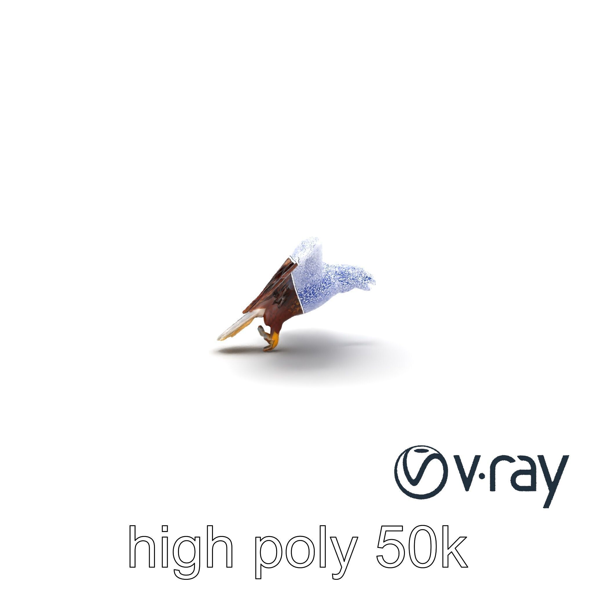 Majestic Bald Eagle 3D model pack Low-poly 3D model_14