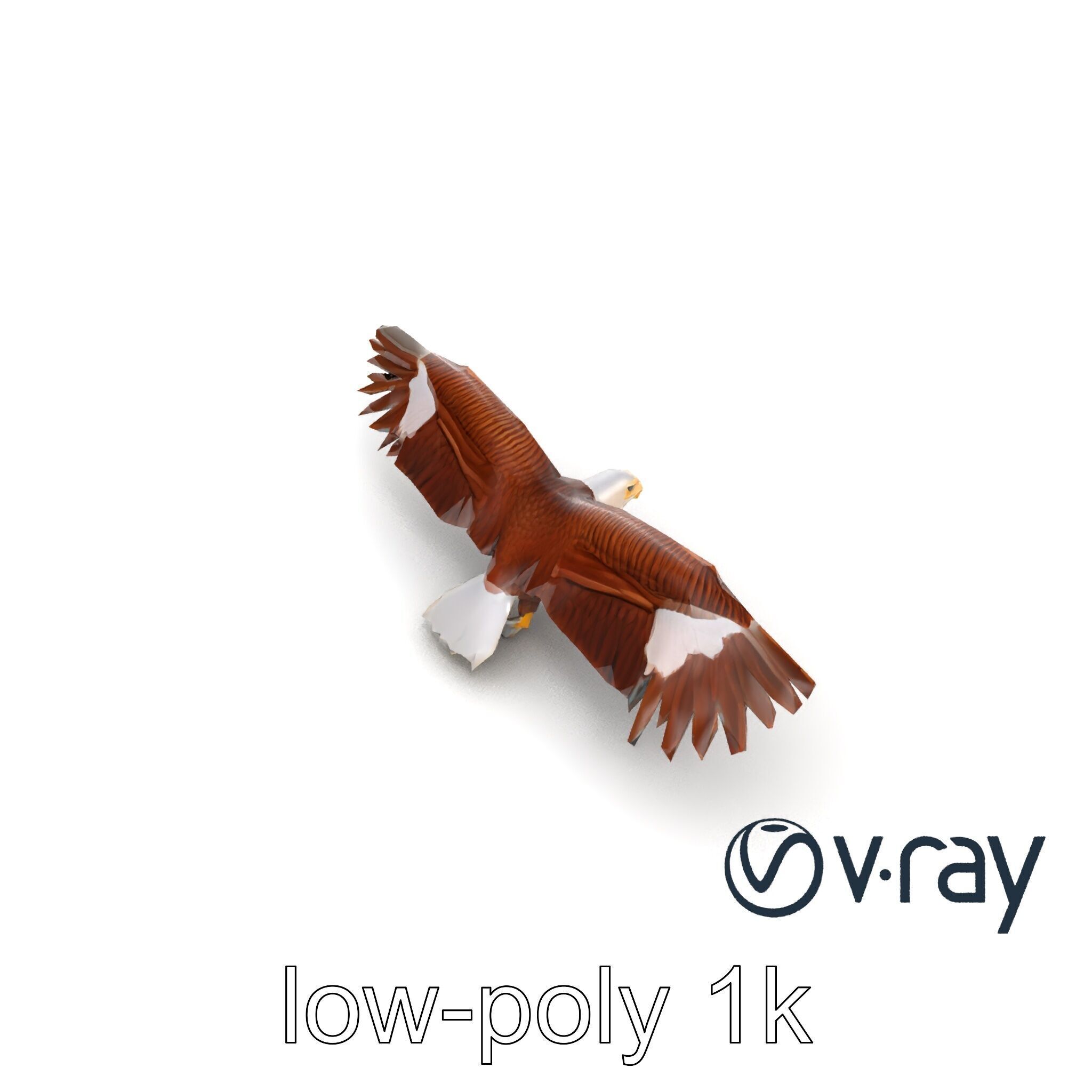 Majestic Bald Eagle 3D model pack Low-poly 3D model_12