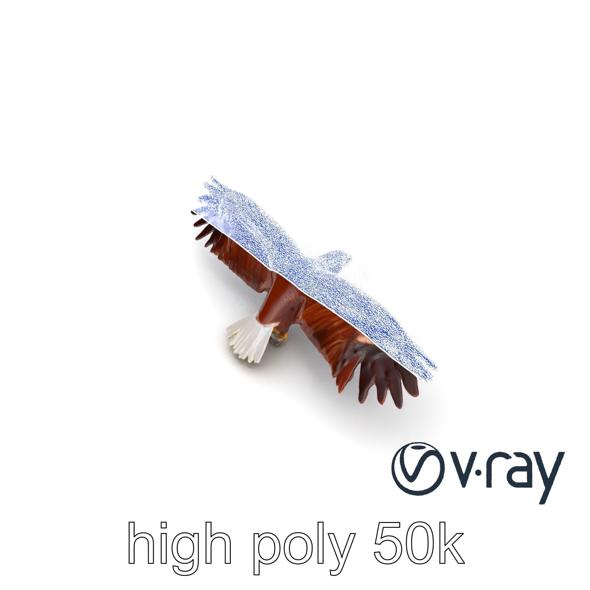 Majestic Bald Eagle 3D model pack Low-poly 3D model_11