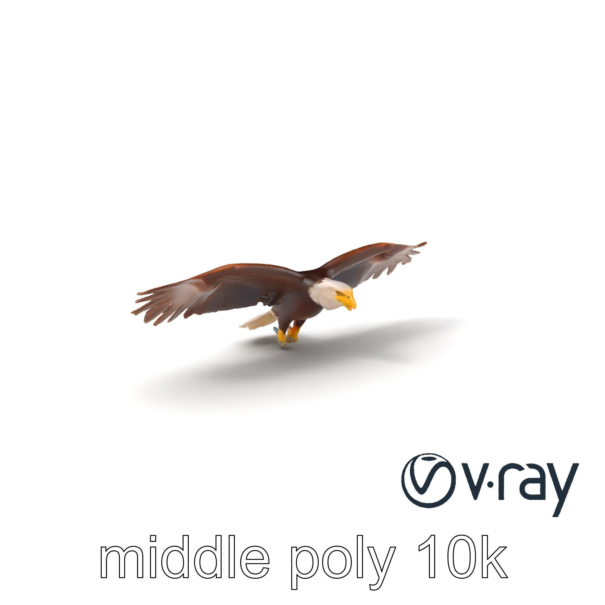Majestic Bald Eagle 3D model pack Low-poly 3D model_3