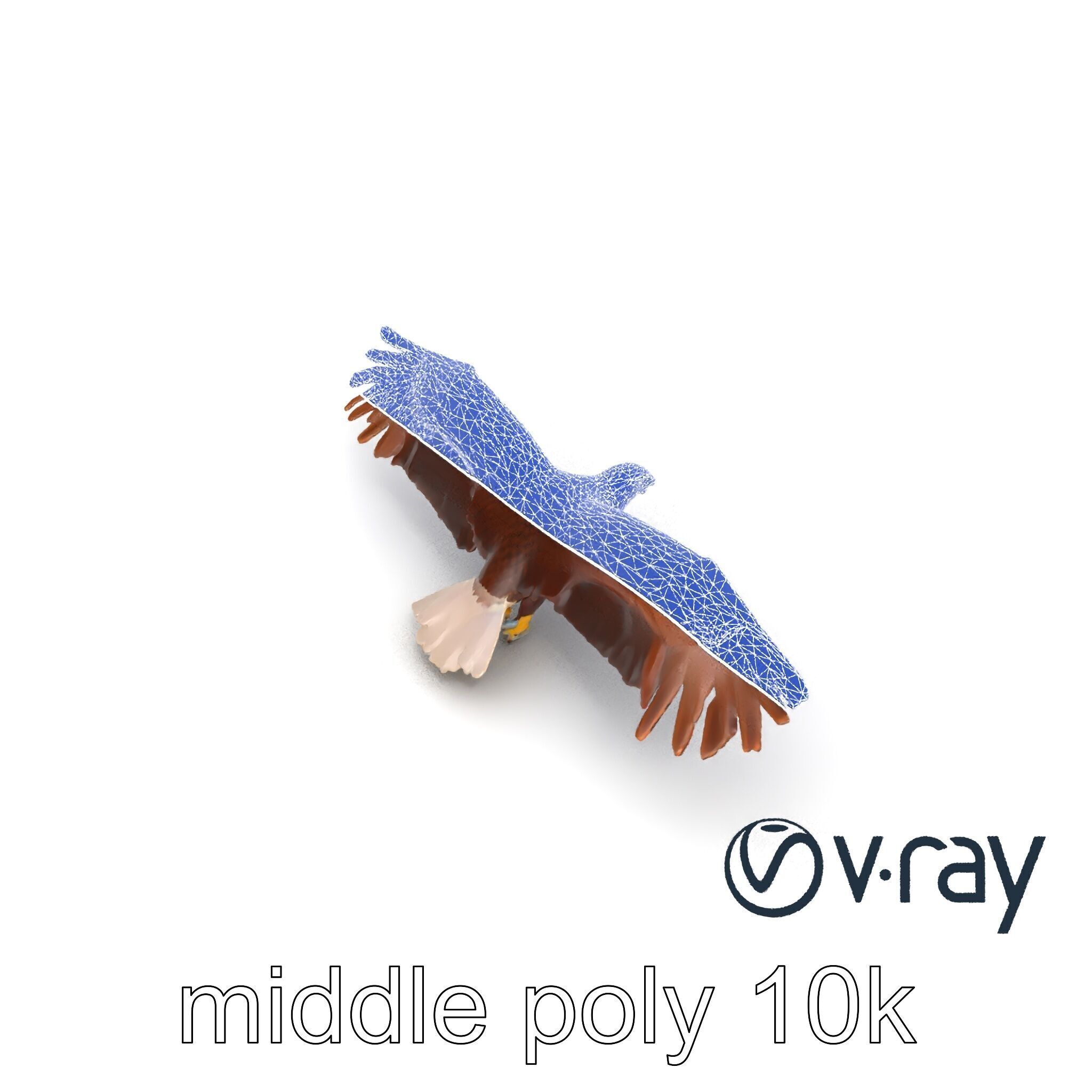 Majestic Bald Eagle 3D model pack Low-poly 3D model_26