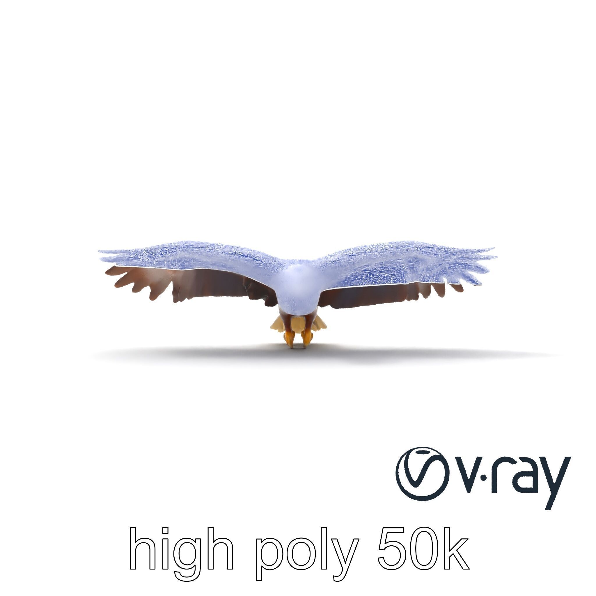 Majestic Bald Eagle 3D model pack Low-poly 3D model_23